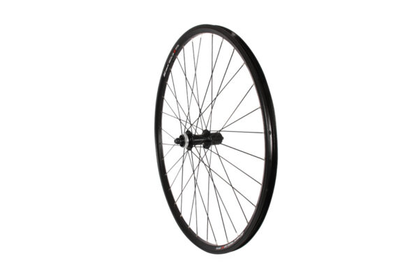 Massi BLACKGOLD2 32H.C.LOCK SIL