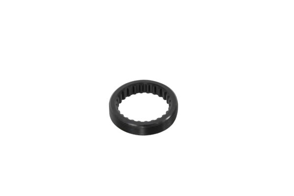 Massi Anillo Dentado Buje Tras. Tour Ratchet