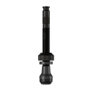 Tubeless Valve (2UN)