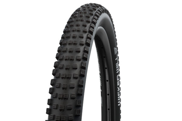 Schwalbe Tyre Wicked Will Performance Tlr