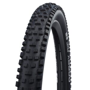Schwalbe Tyre Wicked Will Performance Tlr