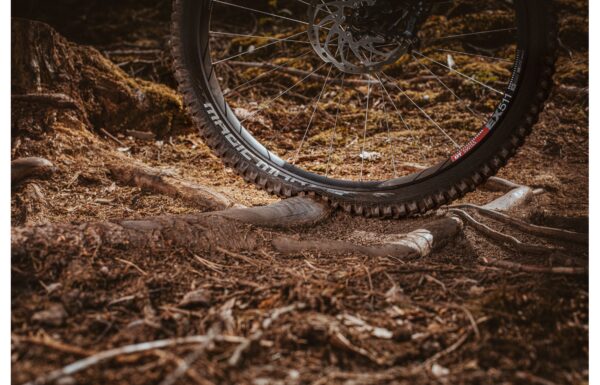 Schwalbe Tyre Magic Mary Trail Pro Tlr - Image 2