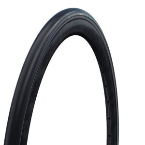 Schwalbe Tyre One 365 Performance Fold.